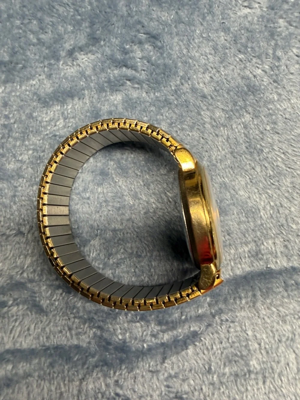 Gold-Tone Women's/Unisex Watch with Blue Dolphin Motif
